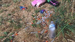 Dozens of needles found outside Everett middle school