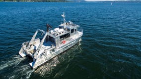King County boat joins emergency effort to save emaciated orca J50