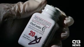 OxyContin maker asks court to dismiss Everett lawsuit