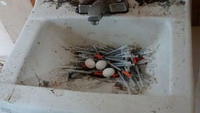 Police: Pigeon makes 'nest' of needles amid opioid crisis in Vancouver