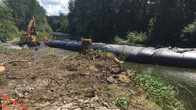 WSDOT pushes back the Pilchuck River to save highway, homes