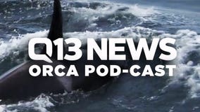 Orca Pod-Cast Episode 1: The Last Generation of Southern Resident Orcas?