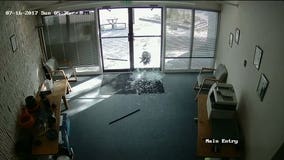 'Gang of goats' terrorize Colorado business