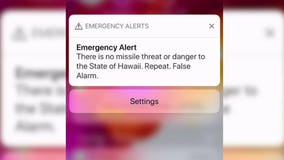 Hawaii worker who sent false missile alert thought threat was real