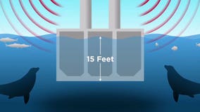 One of Washington's most iconic bridges may be hurting salmon