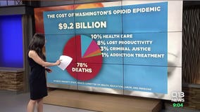 Unanimous vote for bipartisan opioid bill, but will it be enough?