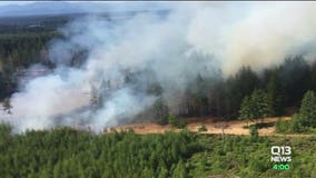 Mason County sheriff: High number of wildfires 'suspicious,' sets up task force to investigate