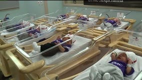 Little League's tiniest fans get ready for the Little League World Series