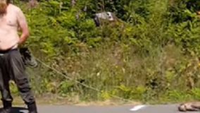 Suspect in bizarre shooting of Mason Co. man dragging dead animal pleads not guilty