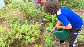 Rain gardens: Something everybody can do to tackle what seems like an impossible problem
