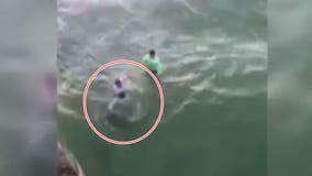 Video shows shark biting man at North Carolina beach
