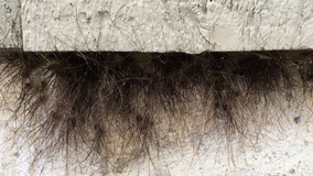 National park posts skin-crawling spider photo for Halloween