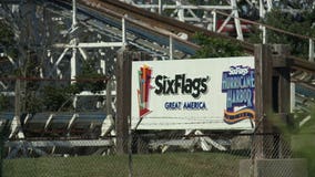 9 arrested after attack at Illinois Six Flags leaves family hospitalized