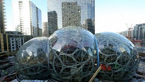 Amazon laying off hundreds of corporate employees in Seattle