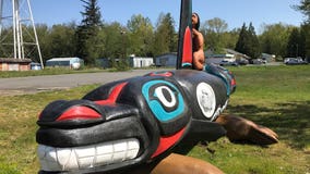 Lummi tribe begins cross-country campaign to free killer whale 'Tokitae'