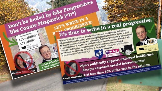 Political fliers push progressive write-in candidates in races across state