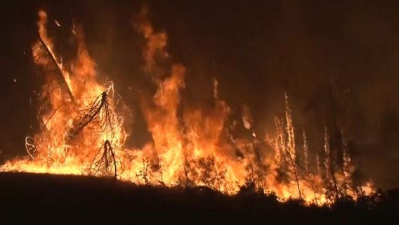 Brush fires surging in Seattle's dried up areas