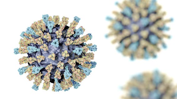 3 measles cases confirmed in family visiting western WA for holidays