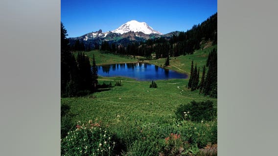 Washington Senator proposes legislation to restore native plants at National Parks