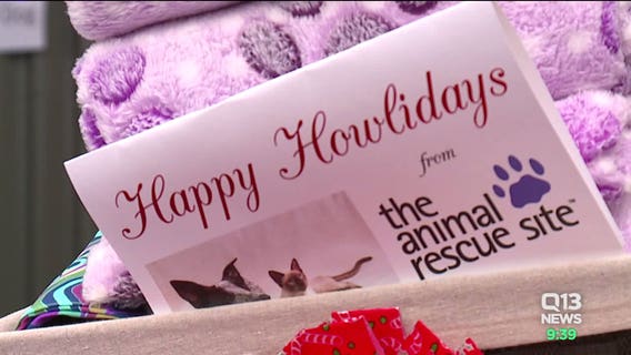 Local animal shelter gives back this holiday season