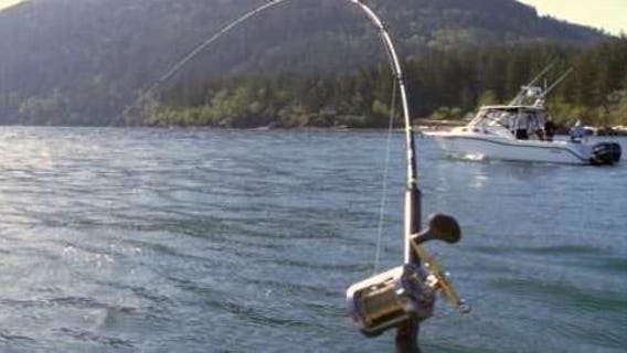Puget Sound anglers impacted, buyers forced to outsource by decreasing salmon population