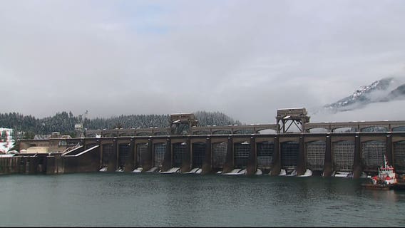 To help salmon migrate, state looks to spill more over dams