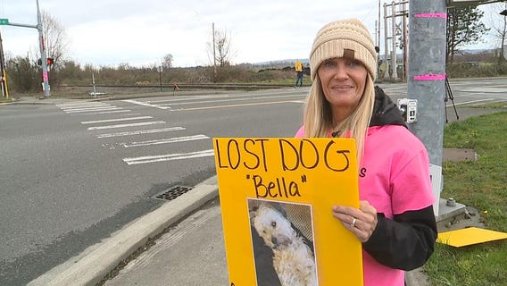 Changemaker: Kristi Everett and team of pet finders reunite lost dogs with owners