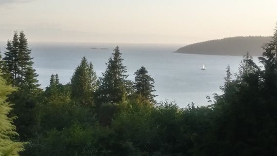 Crews raise retired sunken ferry in western Washington