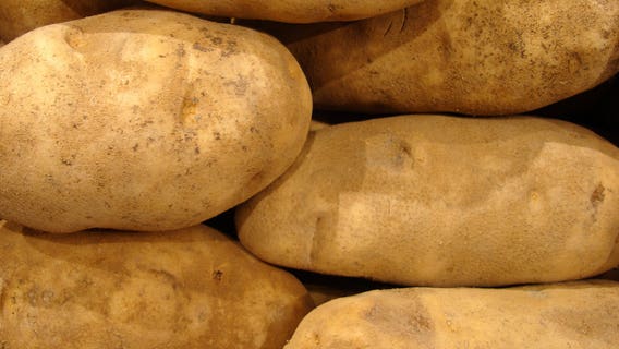 Idaho potatoes set record for production value last year
