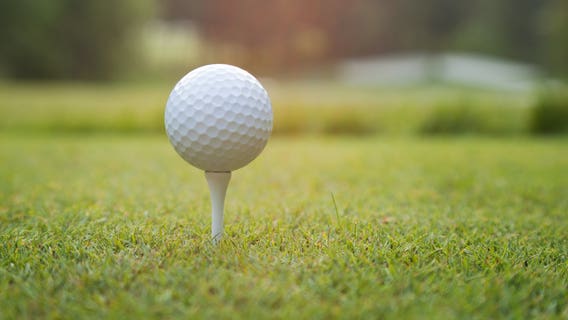 Court order can't stop stray golf balls from hitting home