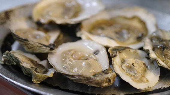 Woman dies from flesh-eating bacteria after eating raw oysters