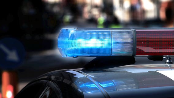 WA man shot, killed during filming of dog training exercise involving live gunfire