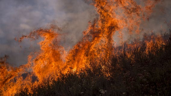 Idaho bills parent of juvenile $84,500 following wildfire