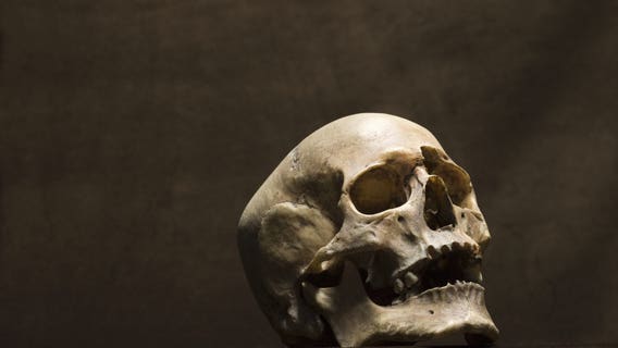 Traffic stop leads to discovery of human skull