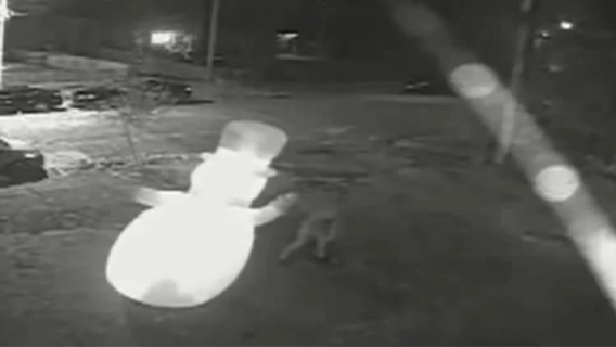 'Grinch' stabs Frosty the Snowman in St. Louis 'hit' caught on camera