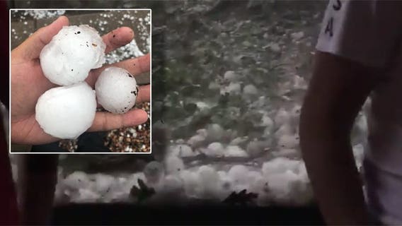 At least 8 people hurt, 3 animals killed by large hail at Colorado zoo