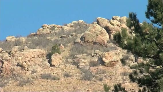 Runner survives being attacked by mountain lion