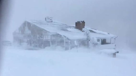 'It is like being sandblasted!' Blizzard shuts down Hurricane Ridge