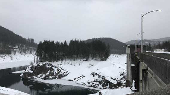 Puget Sound dam jeopardizing salmon, endangered orcas