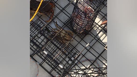 Park Ranger goes crabbing off Whidbey Island and finds Jesus