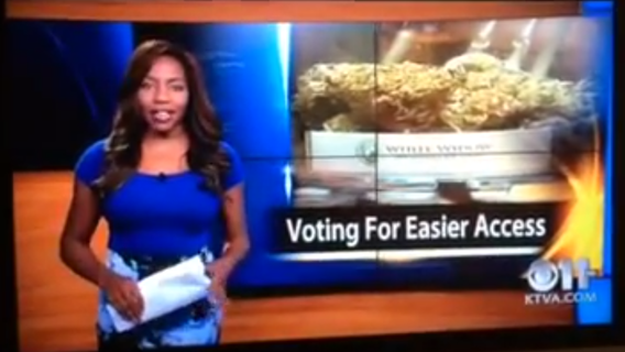 Alaskan TV reporter curses, quits on-air to focus on pot (VIDEO)