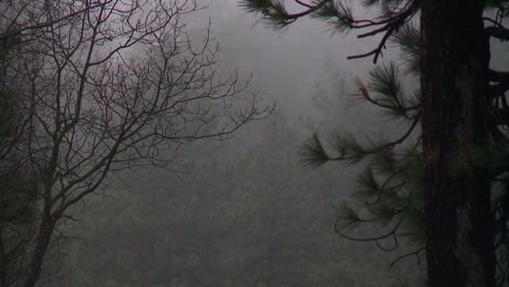 Son’s body found in mangled car after father receives GPS crash alert