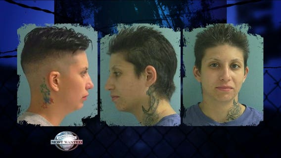 CAPTURED: Crime Stoppers tip leads to K9 arrest of DV fugitive hiding in attic in Yakima