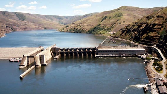Snake River dams drive wedge between farmers and orca champions
