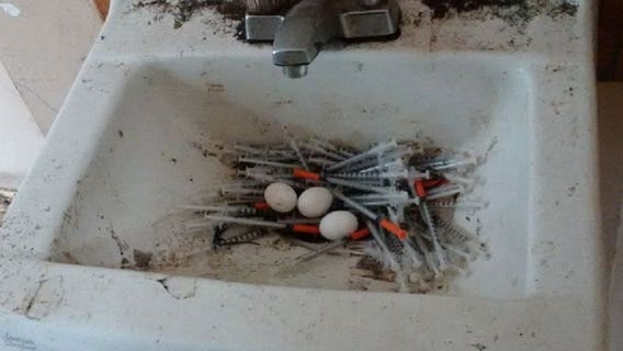 Police: Pigeon makes 'nest' of needles amid opioid crisis in Vancouver