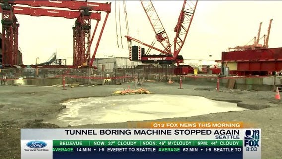 State orders Bertha tunneling to stop amid safety concerns