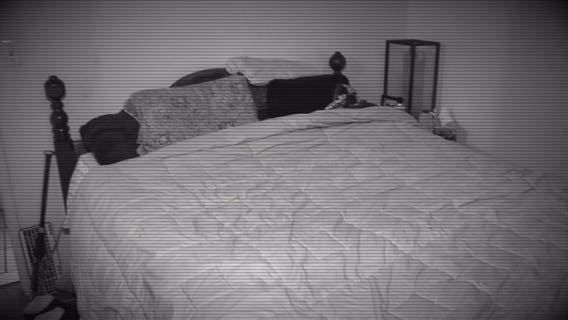 Mason County victim describes the moment she woke up to man at the edge of her bed