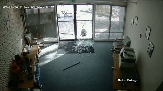 'Gang of goats' terrorize Colorado business