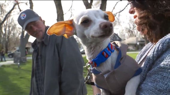 Homeless man saves abandoned pup, gets unexpected surprise