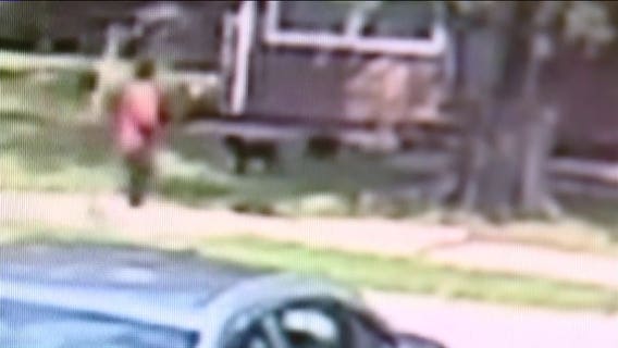 Cameras catch man shooting, killing 2-month old puppy outside Kansas City home